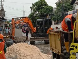Ditebangnya Pohon Penghijauan adalah Langkah Awal dari Indahnya Tata Ruang Kota Bojonegoro