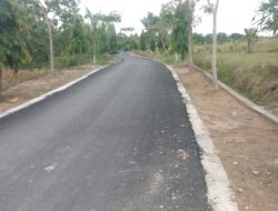 Desa Karangmangu Ngambon NglenyerJalane, Nglenyer Perekonomiane