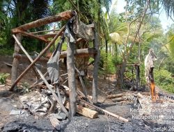 Perum Perhutani Kembali Tindak Tegas Para Penambang Batu Bara Ilegal