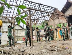 Bersama Warga Sambongrejo Sumberrejo, Babinsa Kodim Bojonegoro Gotong Royong bedah rumah Mbah Sarmi