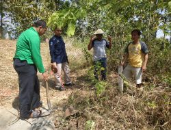 Tanah untuk Rumah Pemotongan Hewan dibeli Pemkab Bojonegoro tahun 1980