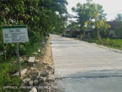 Desa Pejambon Ngeleyer Jalane, Nglenyer Ekonomine