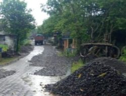 Paving Lama Tanpa Dibongkar, Proyek BKKD Desa Tlogoagung Kedungadem&nbsp; Jalan Aspal Terkesan Tipis