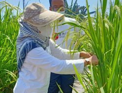 Distan Buleleng Canangkan Penanganan 2 Isu Strategis Tahun 2023