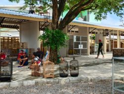 Pedagang Pasar Burung  Merasa Lebih Aman dan Nyaman dengan Dibangunnya Diding Penutup Lapak