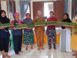 Pemdes Hujan Mas Bagikan Bibit Tanaman, Bersumber dari Dana Desa Tahun 2022
