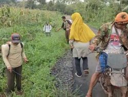 Jum’at Bersih, Pemdes Hujan Mas Gelar Gotong Royong Bersama