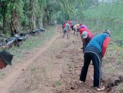 Lestarikan Kearifan Lokal, Pemdes Ibul Jaya Gelar Gotong Royong Bersama