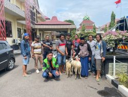 Tim Resmob Polres Situbondo Berhasil Ungkap dan Ringkus Pencuri Kambing di 12 TKP, Pelaku Orang Bondowoso