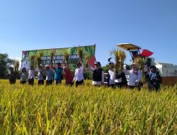 Jadi Lumbung Pangan Nasional, Pemkab dan Kementan Panen Raya di Bojonegoro