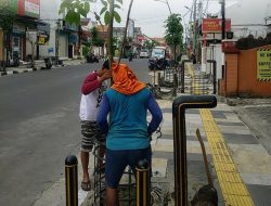 Pemkab Bojonegoro Tangani Langsung Penggantian Pohon Mati