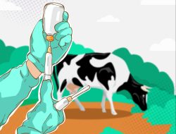 Pemkab Bojonegoro Siapkan 500 Dosis Vaksin Cegah Penyakit LSD pada Sapi 