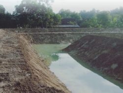 Pemkab Bojonegoro Bangun Embung Baru di Desa Tumbrasanom, Tingkatkan Produksi Pertanian