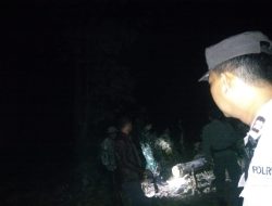 Dalam Rangka Antisipasi Pencurian Kayu di Hutan Baluran Situbondo, Akhirnya Tim Gabungan Patroli Kawasan Hutan