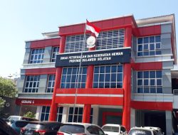 Anggaran Pakan Konsetrat Dinas Peternakan Dipertanyakan