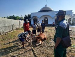 Disnakkan Bojonegoro Bagi-bagi Tips Penyembelihan Hewan Kurban 