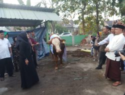 Bupati Ikfina Sholat Idul Adha 1444 H di Masjid Baitul Muttaqin Desa Kutorejo dan Menyerahkan Hewan Qurban
