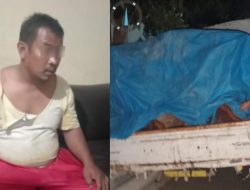 Diduga Terlibat Pembalakan Liar, Oknum Kepala Desa di Ngawi Ditangkap