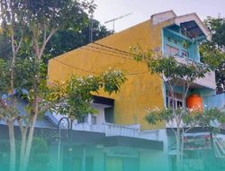 Makin Indah Kota Bojonegoro, Dengan di Tamnamnya Ribuan Pohon Tabebuya dan Pule