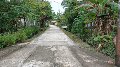 Pavingisasi Jalan Desa Upaya Pemdes Banjarsari Wujudkan Infrastruktur untuk Masyarakat