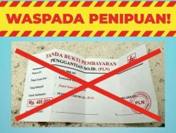 Waspada Penipuan, Semua Layanan PLN Terpusat Lewat PLN Mobile