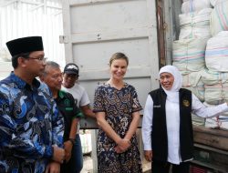 Rumput Laut Sidoarjo Go Internasional, Ekspor Perdana 15 Ton ke Australia