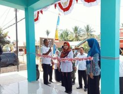 Bupati Tanggamus Dewi Handayani Resmikan Gedung Posyandu di Pekon Tangkit Serdang