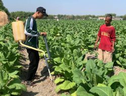 Masyarakat Tegalkodo Apresiasi Alat Penabur Benih Mahasiswa Unugiri