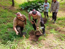 Tingkatkan Sinergi, Perhutani KPH Probolinggo Bersama Polri dan Stakeholder Lakukan Penanaman Pohon