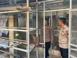 Aipda Tri Harto, Anggota Polres Wonogiri yang Hobi Beternak Burung: Menghasilkan Cuan untuk Keluarga