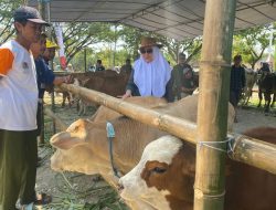 Peternak Sapi Bojonegoro Sambut Gembira Pameran Pedet, Jadi Ajang Promosi Ternak