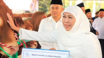 Kurban Aman Bebas PMK dan LSD di Provinsi Jawa Timur