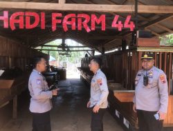 Brigadir Nurhadi, Anggota Polres Wonogiri Bermodal 2 Ekor Kambing Etawa: Menghasilkan Cuan untuk Keluarga