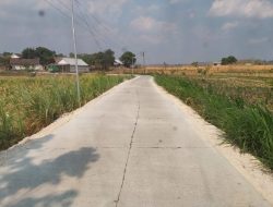 Sekonang Nglenyer Jalane, Warga Rasakan Manfaatnya Pemasaran Hasil Pertanian Makin Mudah   