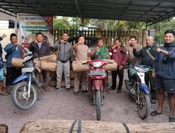 Petugas Gabungan Ringkus Pelaku Illegal Logging, Amankan Seorang Terduga Pelaku 7 Unit Sepeda Motor Serta 14 Gelondong Kayu