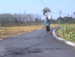 Warga Dusun Goimo Bubulan Nglenyer Jalane, Bawa Hasil Pertanian dengan Lancar 