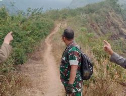 Antisipasi Karhutla dan Gukamhut Jajaran Perhutani KRPH Wringin BPKPH Besuki Bersama Koramil dan Polsek Pakem Jalin Sinergitas Serta Patroli Bersama