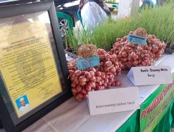 Pemkab Bojonegoro Dorong Petani Bawang Merah Gunakan Benih Biji, Lebih Efisien dan Hasil Banyak 