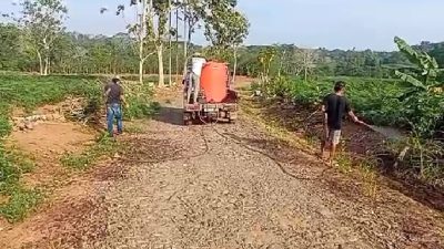 Pemdes Ujan Mas Bersama Masyarakat Gelar Gotong Royong Jum’at Bersih