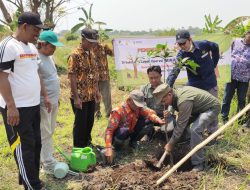 SKK Migas Jabanusa Bersama Minarak Brantas Gas Inc. Tanam 100 Bibit Pohon di Desa Kalidawir Sidoarjo
