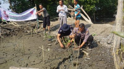 HUT Humas Polri ke-72, Humas Polresta Sidoarjo Tanam Mangrove di Kawasan Pesisir Cegah Abrasi