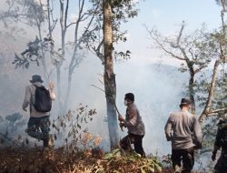Kobaran si Jago Merah di Hutan Lindung Petak 6A-1 RPH Sumber Malang BKPH Besuki KPH Bondowoso, Berhasil Dipadamkan