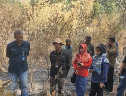 Perhutani KPH Lawu Ds Terima Kunjungan Lapangan Kementerian LHK di Lokasi Pasca Karhutla Gunung Lawu Ngawi
