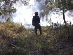 Saat Patroli Temukan Hutan Lindung Petak 87A RPH Blawan BKPH Sukosari Terbakar, Petugas Gabungan Berhasil Padamkan Kobaran Api