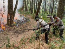 Sinergitas Polres Ngawi Bersama TNI dan Pemkab Upaya Padamkan Api di Lereng Gunung Lawu