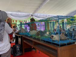 Pertahankan Bojonegoro Bebas Rabies, Disnakkan Beri Vaksin Gratis Ratusan Kucing