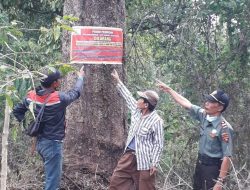 Administratur Perhutani KPH Bondowoso Terus Intruksikan Jajarannya Untuk Antisipasi Gukamhut
