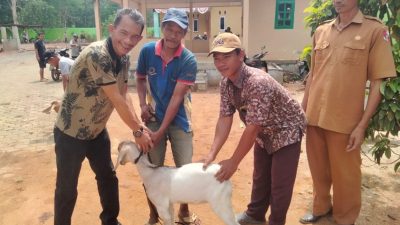 Pemdes Labuhan Ratu Kampung, Hibah 8 Ekor Kambing Kepada Peternak