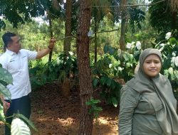 Administratur Perhutani KPH Bondowoso Dampingi Kasi Utama Bidang Pembibitan dan Tanaman Perhutani Divisi Regional Jatim Turun ke Lapangan