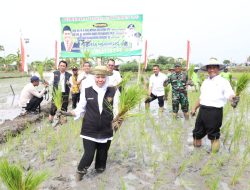 Dampingi Mentan Panen dan Tanam Padi Bersama di Tuban, Gubernur Jawa Timur Ajak Wujudkan Kedaulatan Pangan Indonesia